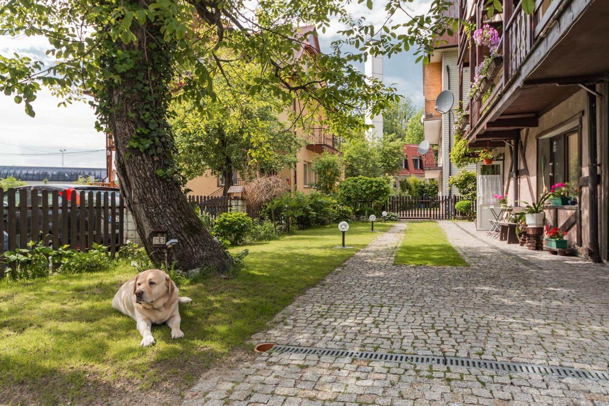 Dom "Pod Gorkami" Apartment Szczawnica Bagian luar foto